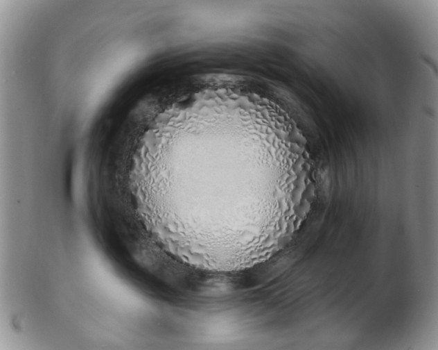 X0000103170381200809051727