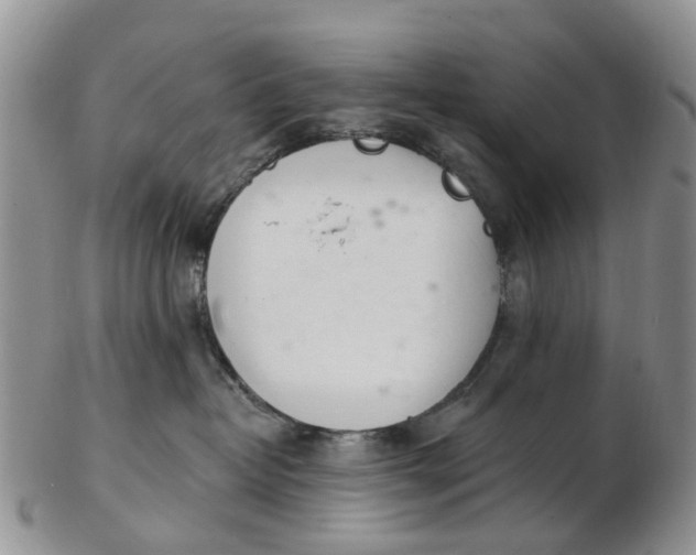 X0000103170382200809051727