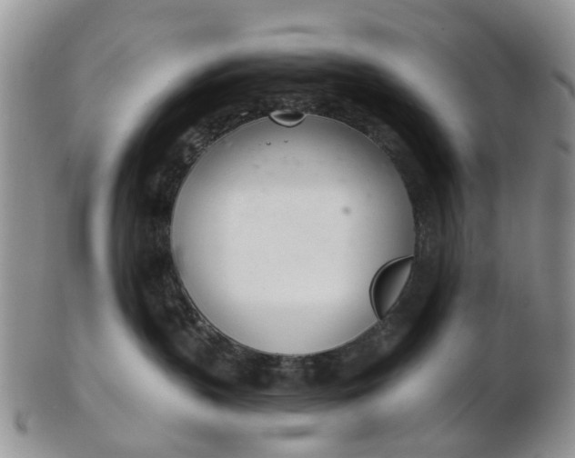 X0000103170383200809051727