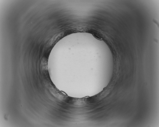 X0000103170384200809051727