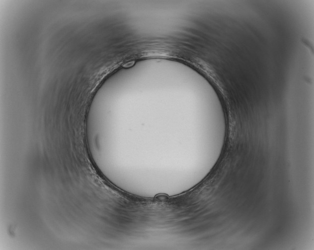 X0000103170385200809051726