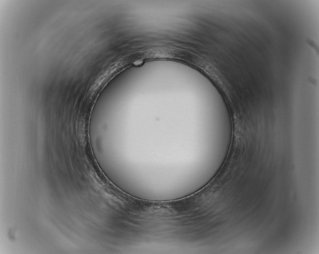 X0000103170386200809051726