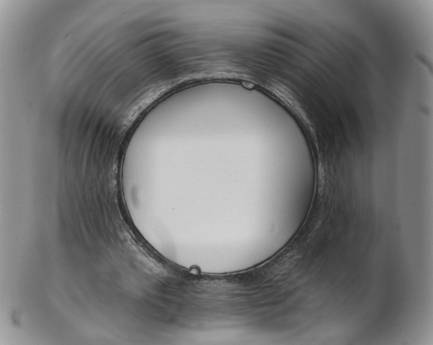 X0000103170389200809051726