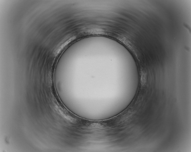 X0000103170390200809051726