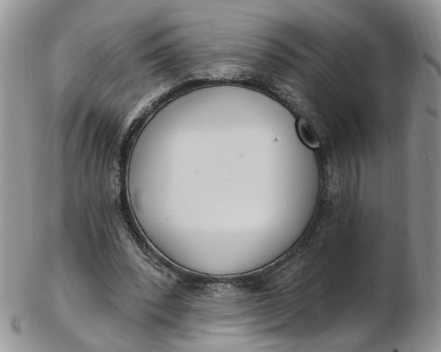 X0000103170392200809051726