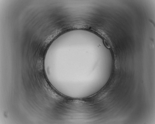 X0000103170393200809051726