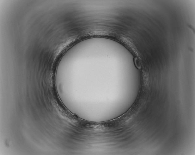 X0000103170395200809051726