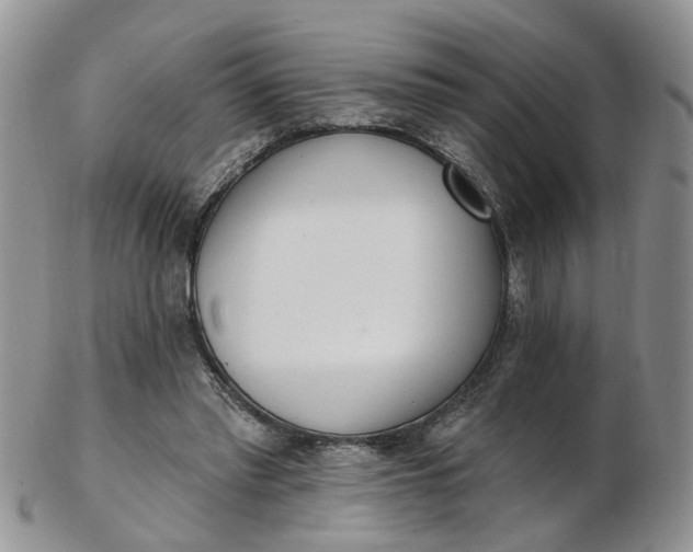 X0000103170397200809051726