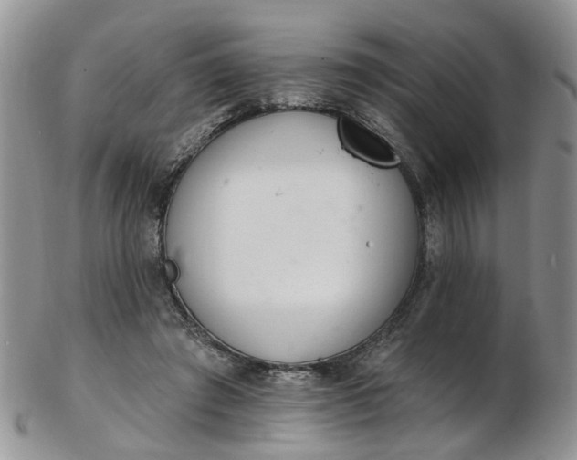 X0000103170401200809051726