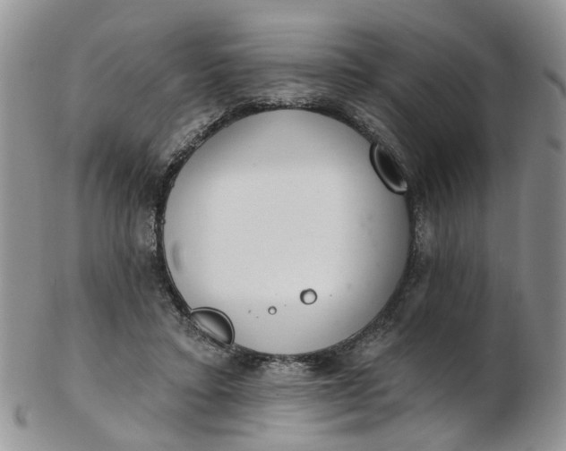 X0000103170403200809051726