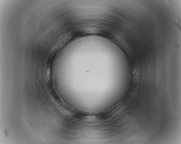 X0000103170406200809051726