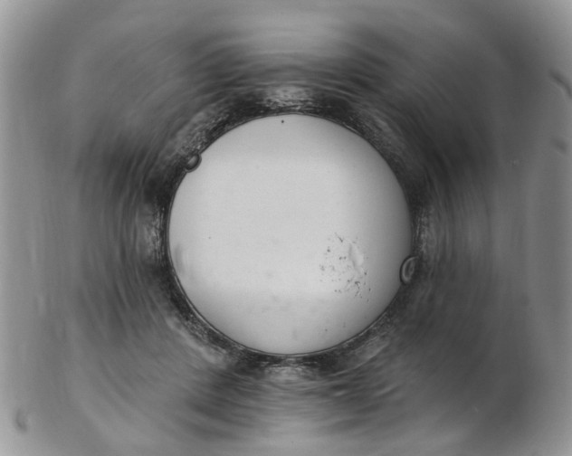 X0000103170408200809051726