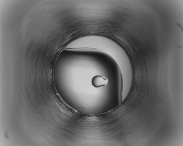 X0000103170409200809051726