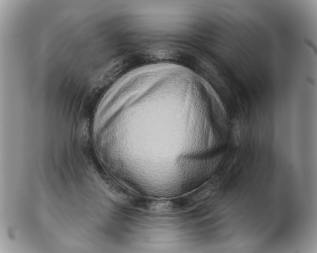 X0000103170410200809051726