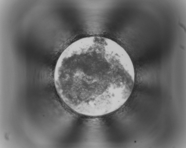 X0000103170411200809051726