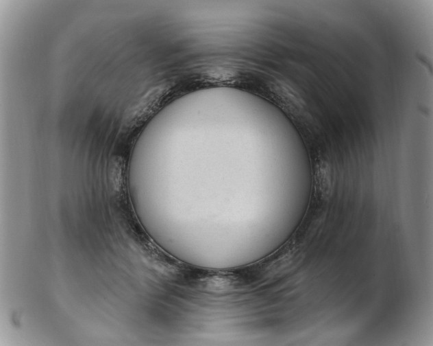 X0000103170412200809051726