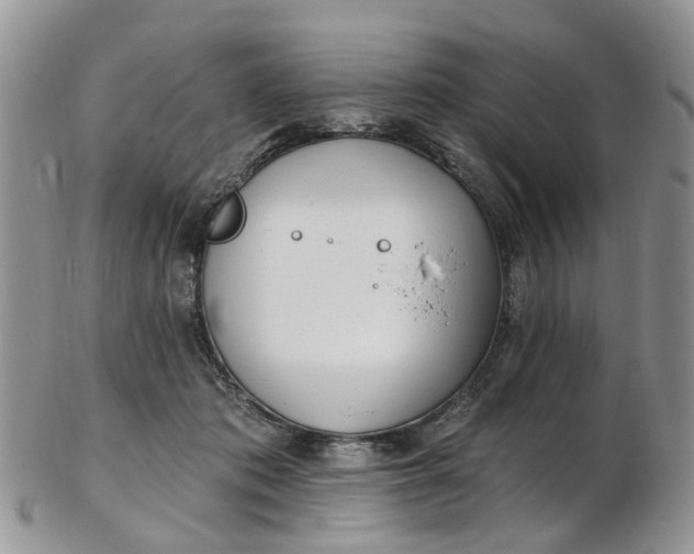 X0000103170413200809051726