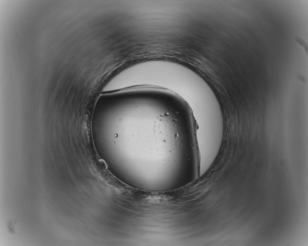 X0000103170415200809051726