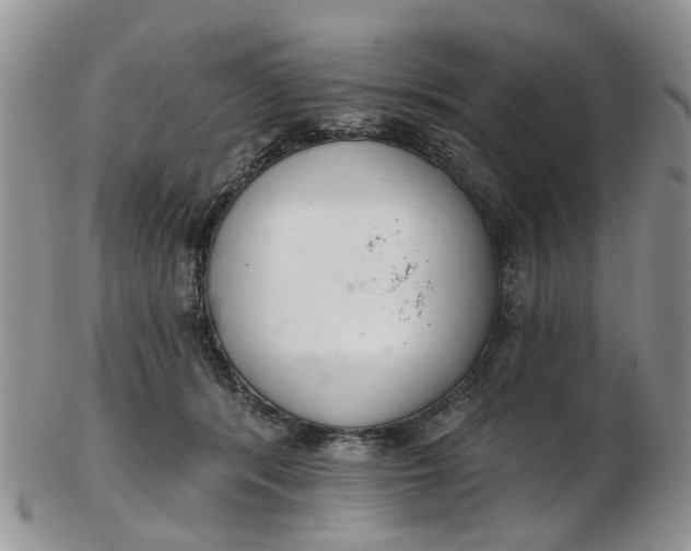 X0000103170416200809051726