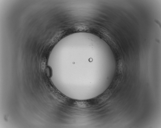 X0000103170417200809051726