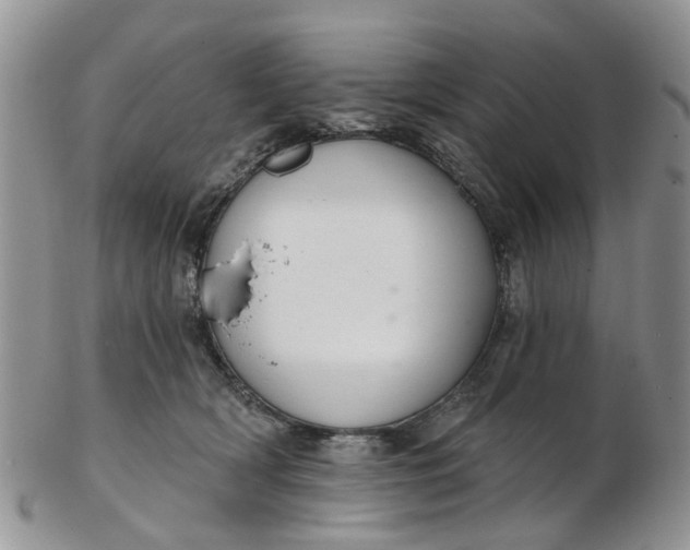 X0000103170418200809051726