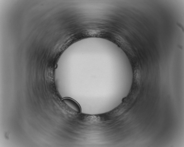 X0000103170421200809051726