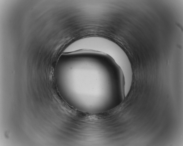 X0000103170423200809051726