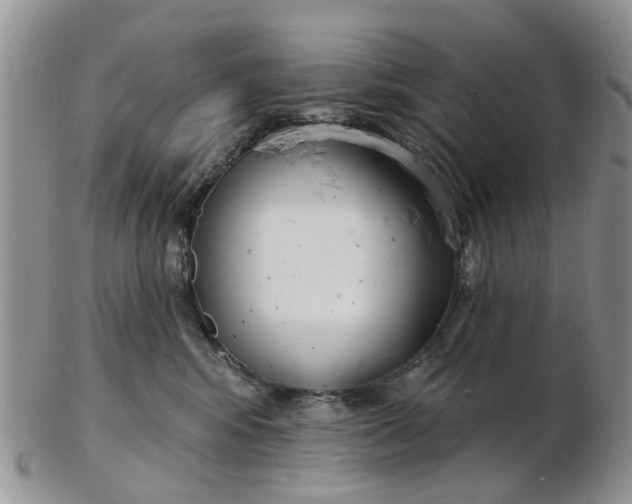 X0000103170424200809051726