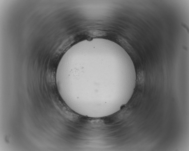 X0000103170426200809051726