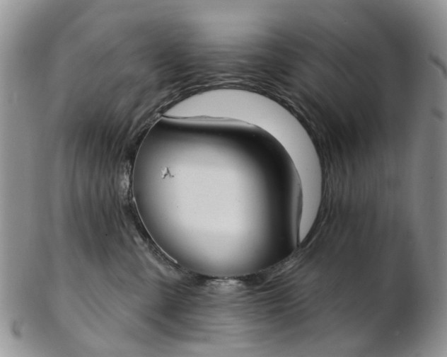 X0000103170427200809051726