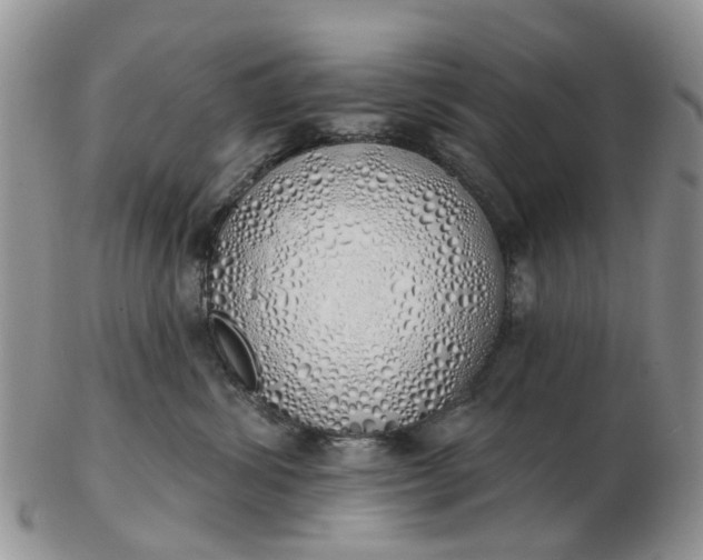 X0000103170428200809051726