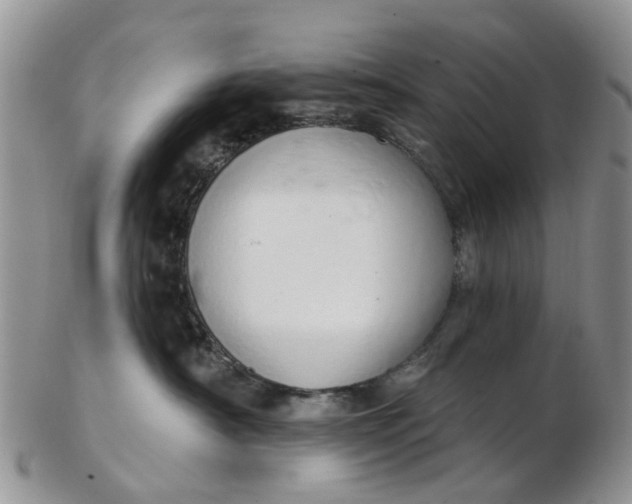 X0000103170430200809051726