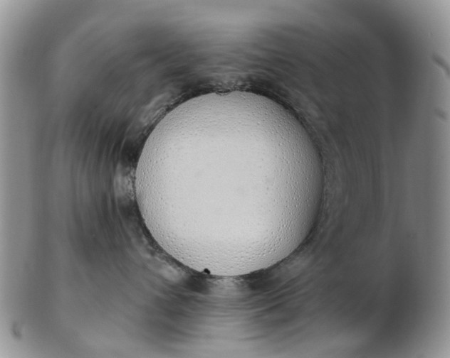 X0000103170432200809051726