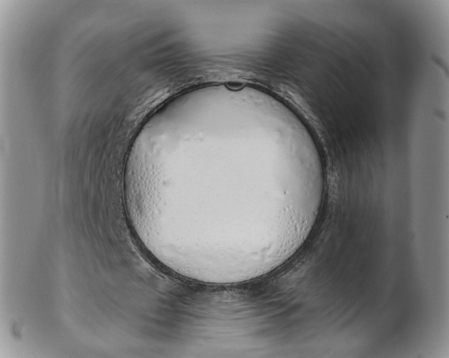 X0000103170433200809051725