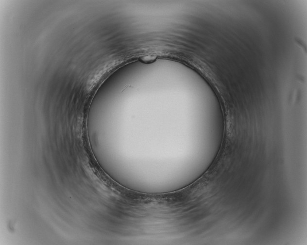 X0000103170434200809051725