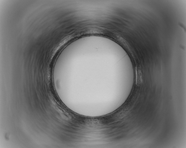 X0000103170435200809051725