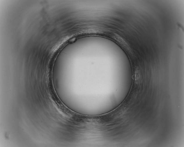 X0000103170436200809051725