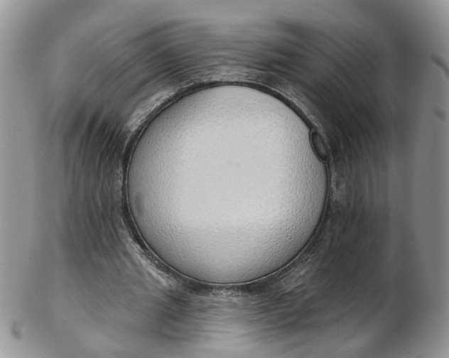 X0000103170437200809051725