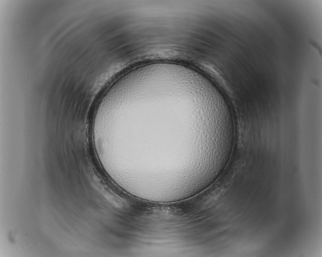 X0000103170439200809051725