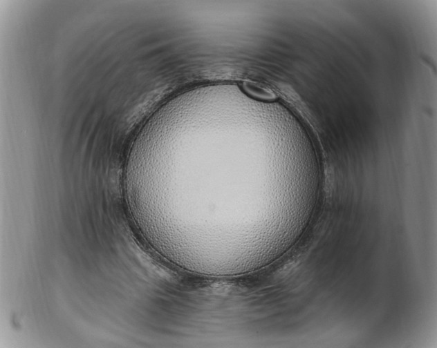 X0000103170441200809051725