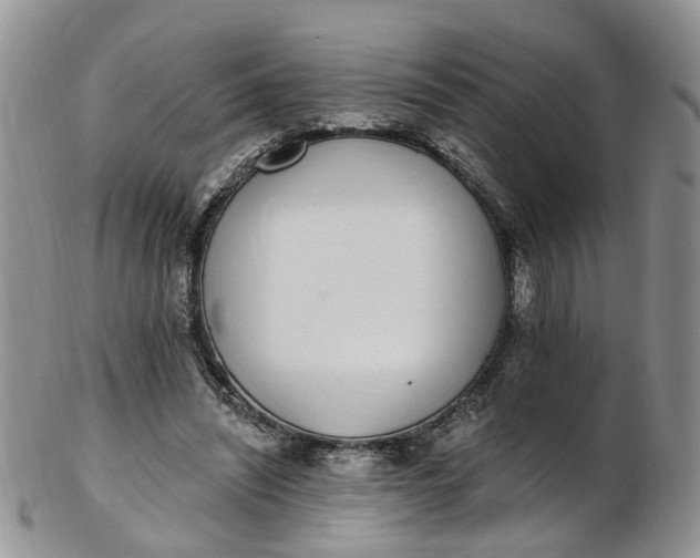 X0000103170444200809051725