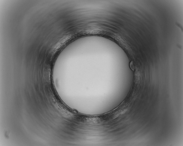 X0000103170446200809051725