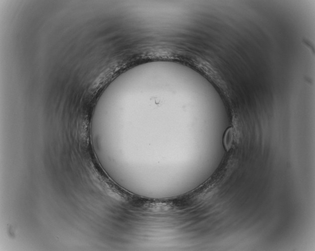 X0000103170449200809051725