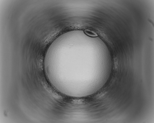 X0000103170450200809051725