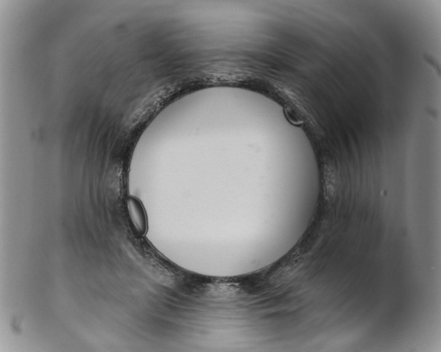 X0000103170451200809051725