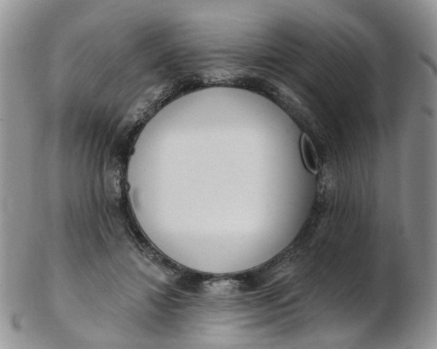 X0000103170452200809051725