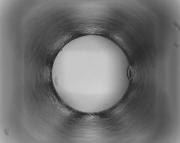 X0000103170453200809051725