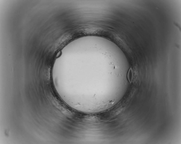 X0000103170454200809051725