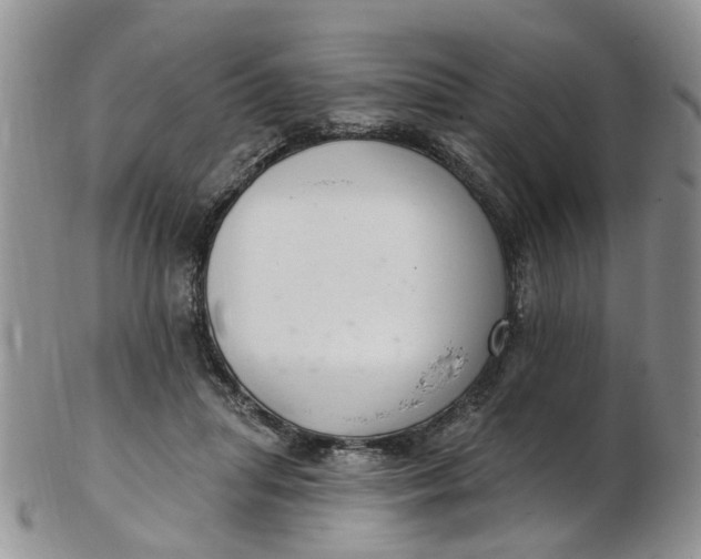 X0000103170455200809051725