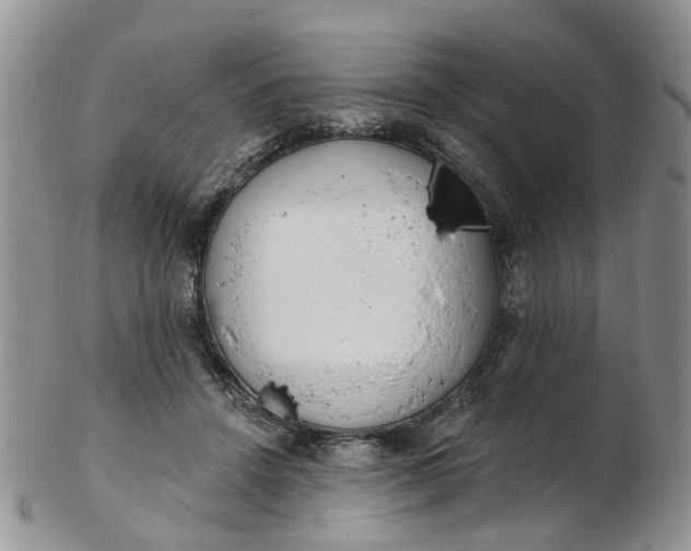 X0000103170456200809051725